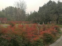 -洛阳市隋唐城遗址植物园