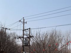 -1982农场