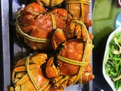 -乡乐园蟹庄·阳澄湖农家乐