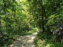 -阳台山自然风景区