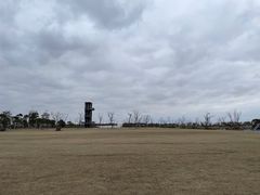 -春花秋色城市公园