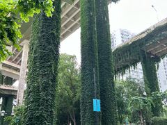 -上海市黄浦区教育学院附属中山学校