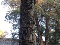 -建水文庙