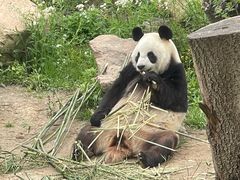 -宁波野生动物园