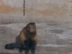 -广东茂名森林公园