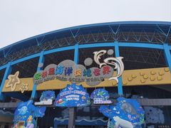 -泉城欧乐堡海洋极地世界