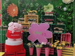 -摩登百货(岗顶店)