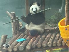 -青藏高原野生动物园