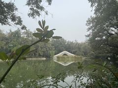 -浮庄