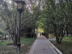 -德胜公园