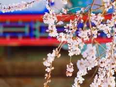 -颐和园