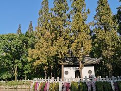 -汇龙潭
