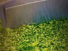 -桐湾大院·桐庐菜(滨江店)