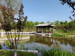 -西海子公园