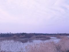 -贡湖湾湿地公园