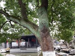-口岸雕花楼