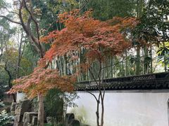 -秋霞圃