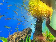 -太平洋海底世界