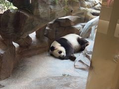 -宁波野生动物园