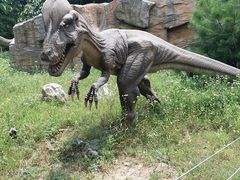 -西安秦岭野生动物园