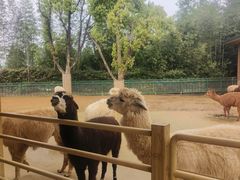 -杭州野生动物世界