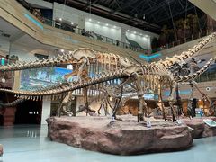 -安徽省地质博物馆