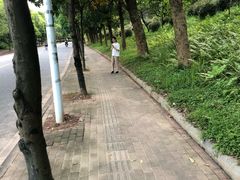 -广东工业大学(大学城校区)