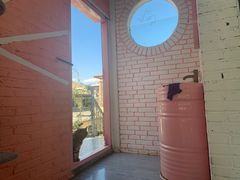 -喵屿·大理花园猫咖