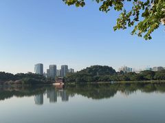 -顺峰山公园