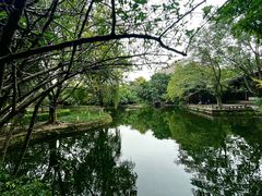-望江楼公园
