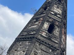 -上海佘山国家森林公园天马山园