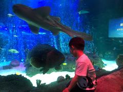 -沈阳海洋探索中心