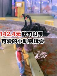 -七巧国萌宠乐园(龙湖天街店)