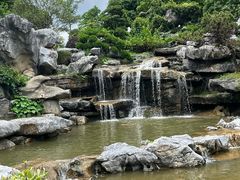 -东莞植物园