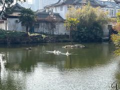 -水绘园