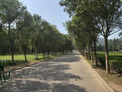 -黄河小浪底水利枢纽风景区