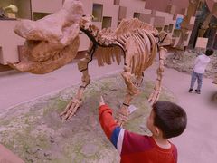 -陕西自然博物馆