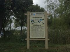 -嵖岈山风景区
