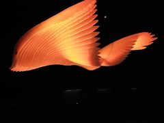 -墨尔本博物馆(Melbourne Museum)