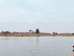 -上海海湾国家森林公园