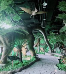 -恐龙探索乐园(磁器口店)