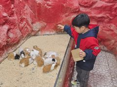 -上海大自然野生昆虫馆(东方明珠·爬宠昆虫探索中心)