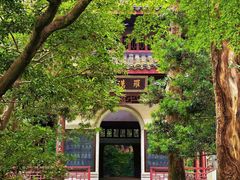 -虎跑公园