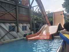 -重庆海昌加勒比海水世界