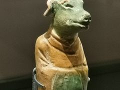 -四川大学博物馆