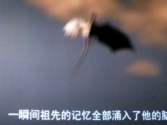 -中影国际影城(东方新天地CINITY店)