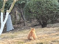 -南京市江宁方山