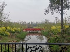 -东平国家森林公园