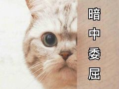 -AMG海上明珠影城(上海环球港RealDCinema店)
