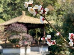 -穹窿山景区